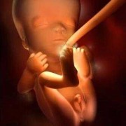 孕妇12周胎儿图（孕妇12周胎儿图片）