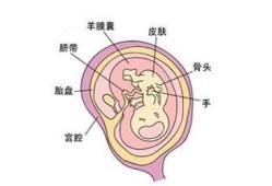 孕期胎盘位置会变吗（孕期胎盘位置会改变吗）
