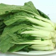 胎儿腿短吃什么（胎儿腿短吃什么补得快）