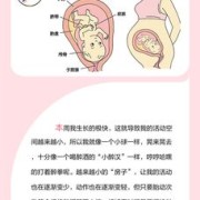 33周发育标准对照表2021,怀孕33周胎儿体重多少正常