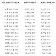 胎儿fl偏小（胎儿fl偏小是不是宝宝个子矮）