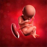 37周宝宝在肚里是什么样,37周的胎儿图片是什么样子的?