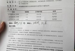 胎儿dna（dna是什么意思）