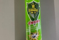孕期闻了杀虫剂（孕期闻了杀虫剂一晚上）