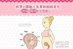 孕三月胎儿图（婴儿三月指的是多少天）