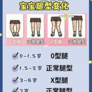 胎儿腿长标准（2个月宝宝的腿该多长）
