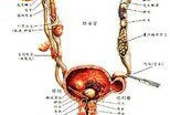 我老婆怀孕6个月查出左肾积水是怎么回事,孕妇肾积水最快最好的治疗方法