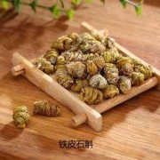 备孕期间能吃（医生备孕可以吃铁皮石斛吗）