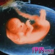 三个月胎儿图片有多大（那拍这个DR胸正位3个月的小孩辐射大吗）