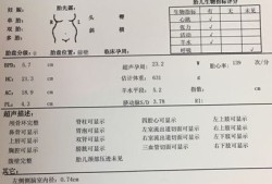 胎儿彩超（胎儿彩超参数 BPD HC AC）