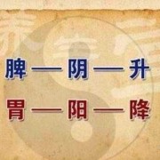 孕期脾虚（孕期脾虚怎么调理）