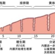 怀孕初期内膜厚多少,孕期内膜厚度多少算正常