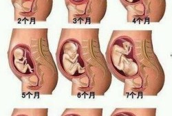 胎儿会冷吗（孕妇肚皮凉凉的胎儿会冷吗）