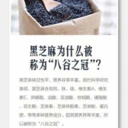孕妇吃芝麻怎么吃最好,孕妇吃黑芝麻最佳时间