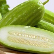 孕妇吃菜瓜对胎儿好吗（孕妇吃菜瓜对胎儿好吗有影响吗）
