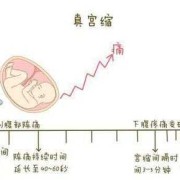 孕妇宫缩对胎儿有什么影响,孕晚期宫缩频繁对胎儿有影响吗