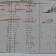 孕期血检单（孕期血检单核细胞计数偏高）