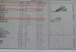 孕期血检单（孕期血检单核细胞计数偏高）
