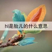 hl是胎儿的什么意思（hl-fl汉语念什么）