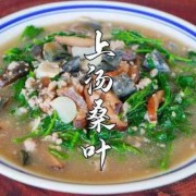 孕期桑葚（桑葚叶煮水怀孕六个月的孕妇可以吃吗）