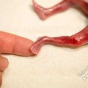 孕19周胎儿稳定了吗（孕19周胎儿稳定了吗正常吗）