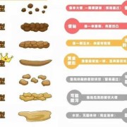 孕妇能用力大便吗,孕期大便通畅的对胎儿的好处