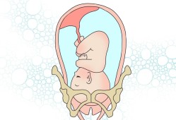 36周胎动频繁是入盆吗,胎儿入盆后胎动频繁正常吗?