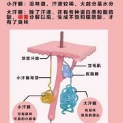 孕晚期，竟然有狐臭，是怎么回事,孕期狐臭怎么办小妙招