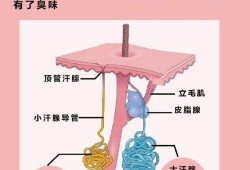 孕晚期，竟然有狐臭，是怎么回事,孕期狐臭怎么办小妙招