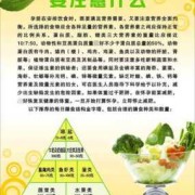 孕妇腹泻怎么办呢,孕期腹泻怎么办注意什么吃什么好