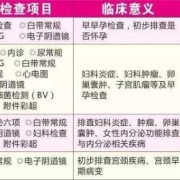 妇科病有哪些种类,孕期分类早中晚期多少周