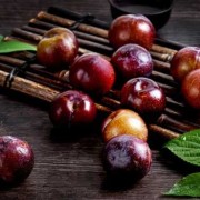 孕期吃李子对胎儿好吗（宝宝可以吃李子吗）
