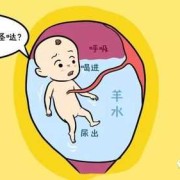 羊水和分泌物的区别有哪些呢？怎么区分,胎儿拉屎拉尿到哪去了