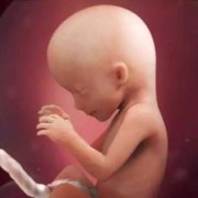 42天的宝宝特点,怀孕42天胎儿有多大图片