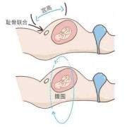 胎儿摸不动（胎儿怎么摸都不动）