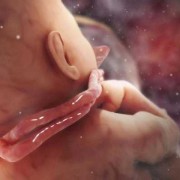 孕34周胎儿图片（孕34周胎儿图片视频）
