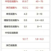 白细胞高胎儿会畸形吗（白细胞多少算宫内感染）