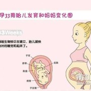 孕33周胎儿偏小三周怎么办,怀孕33周胎儿发育情况图片