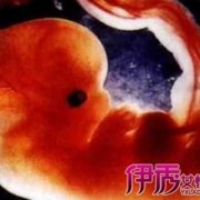 两个月的胎儿有灵魂吗（两个月的胎儿有灵魂吗图片）