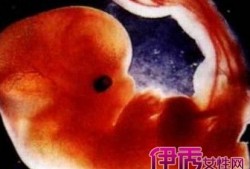 两个月的胎儿有灵魂吗（两个月的胎儿有灵魂吗图片）