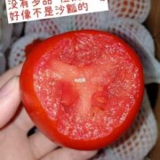 孕妇吃西红柿胎儿白吗（从冰箱拿出的西红柿为什么会变白）