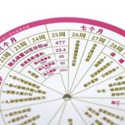 孕期九个月（孕期九个月是多少周）