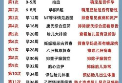 孕期彩超时间（孕期彩超时间表）