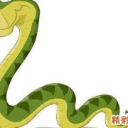 怀孕期间梦到蛇（怀孕期间梦到蛇）