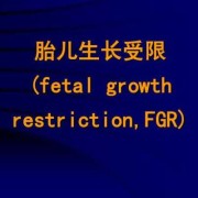 胎儿fgr（胎儿fgr是什么意思）