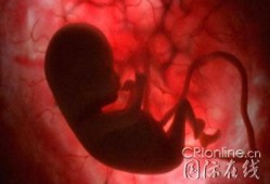 孕晚期胎儿肚子里图片（孕晚期胎儿肚子里的图）
