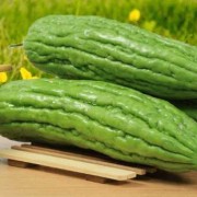 孕妇吃苦瓜对胎儿有影响吗（孕期不能碰的18种蔬菜）
