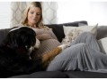 怀孕期间家里养狗对胎儿有什么影响,怀孕期间能不能养宠物狗