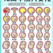 为什么有些人怀孕了那么高兴,孕期开心对宝宝的影响