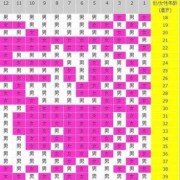 农历怀孕月份怎么算,孕期月份表格图